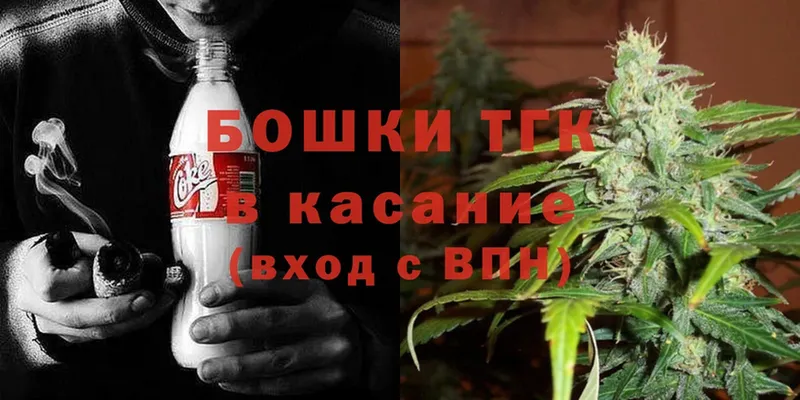 Каннабис OG Kush  Волгореченск 